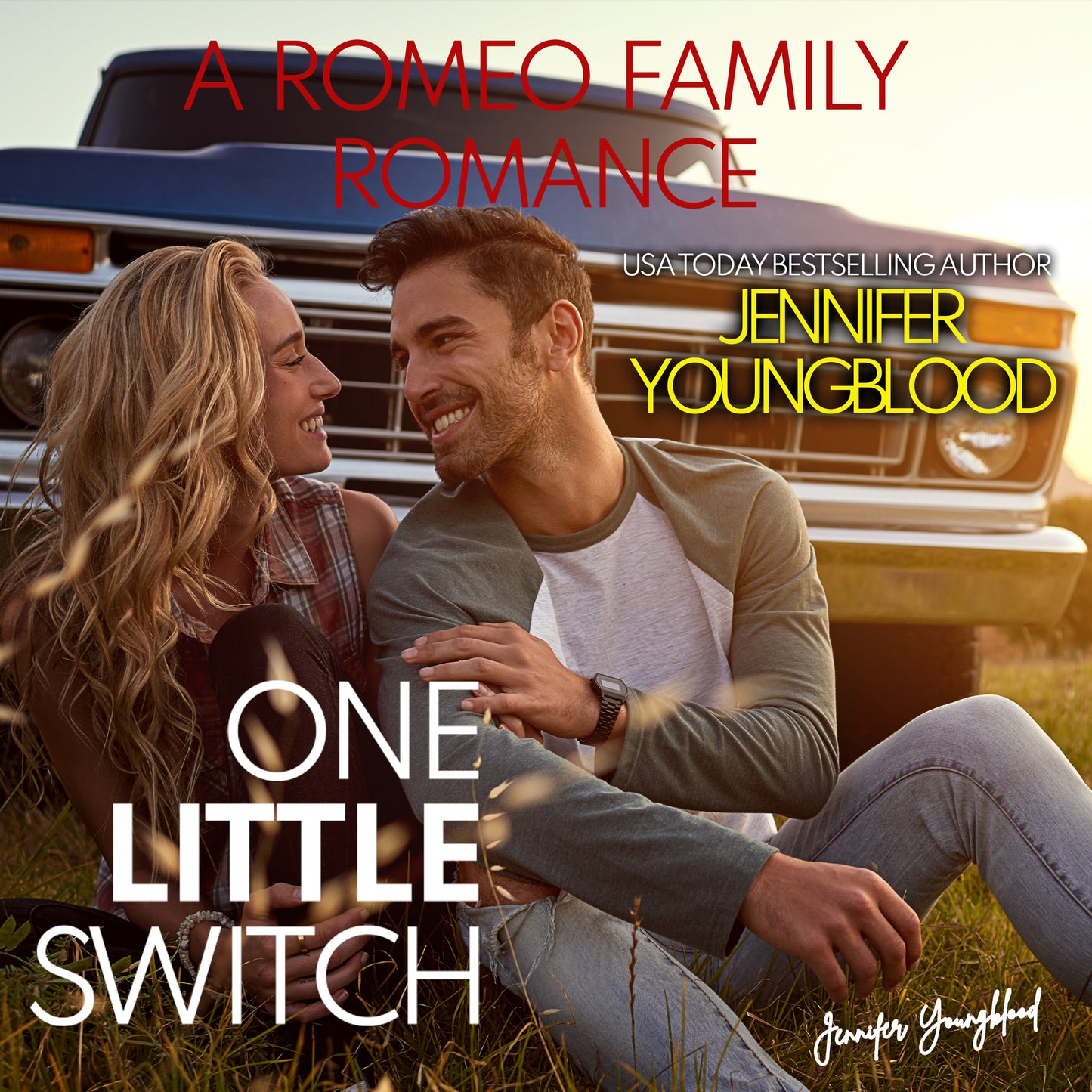 One Little Switch- Audiobook
