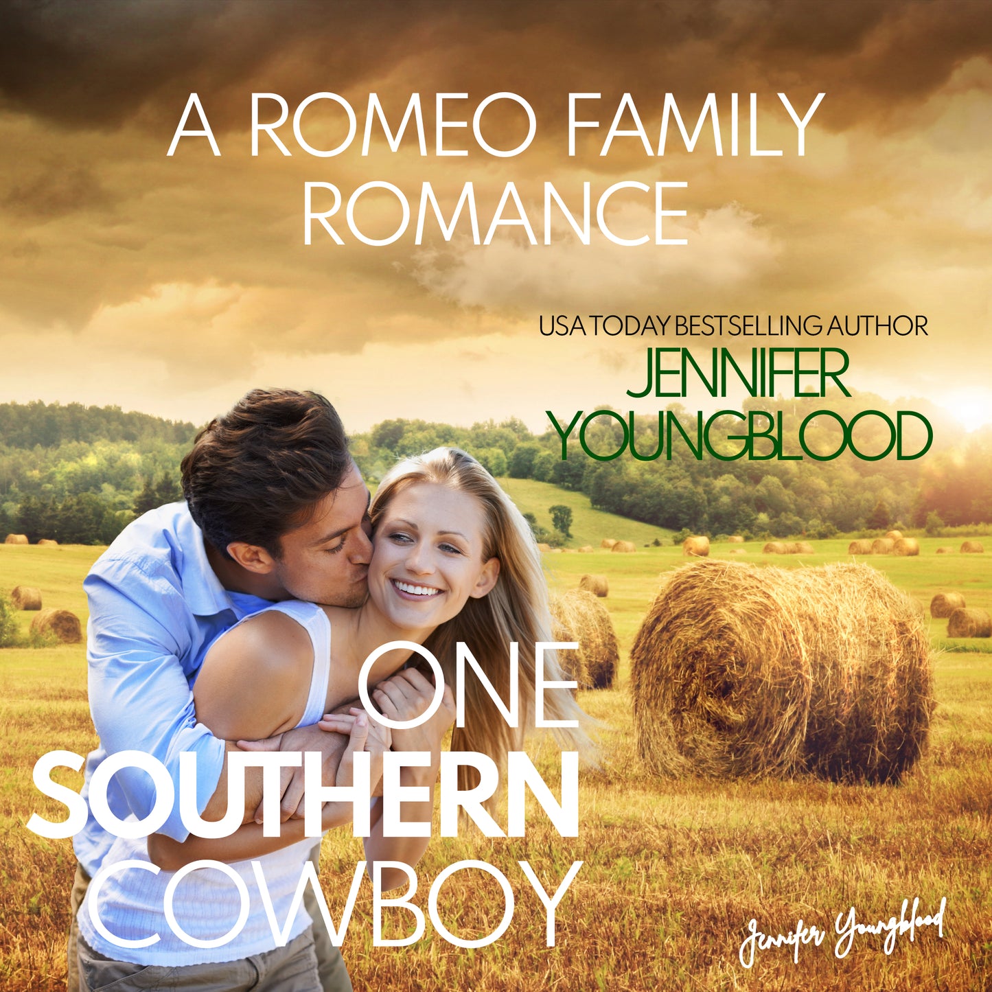 One Southern Cowboy- Audiobook