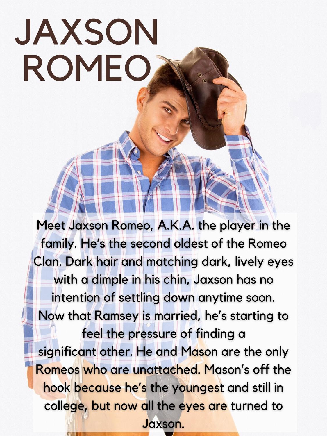 Romeo Family Romance 11 Ebook Bundle