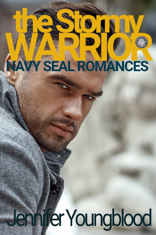 The Stormy Warrior (Navy SEAL Romance Book Four) - Paperback
