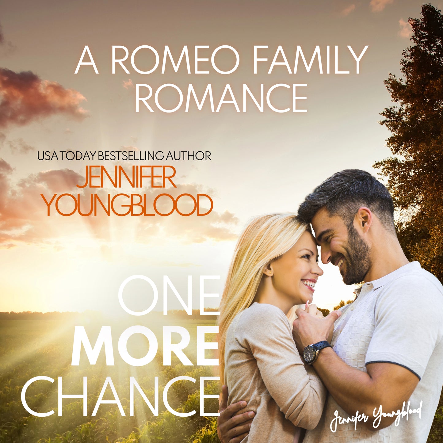 One More Chance- Audiobook